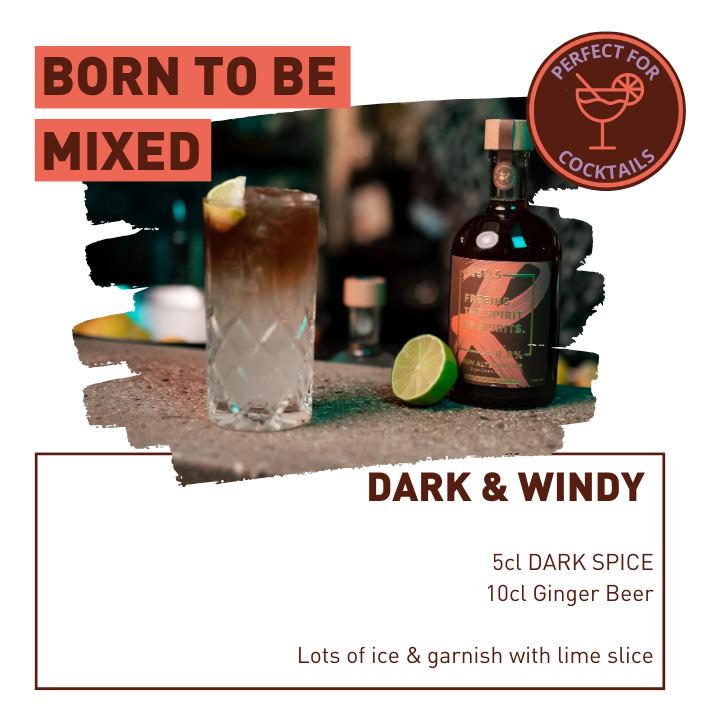 REBELS 0.0% DARK SPICE (alkoholfreier Dark Spirit)