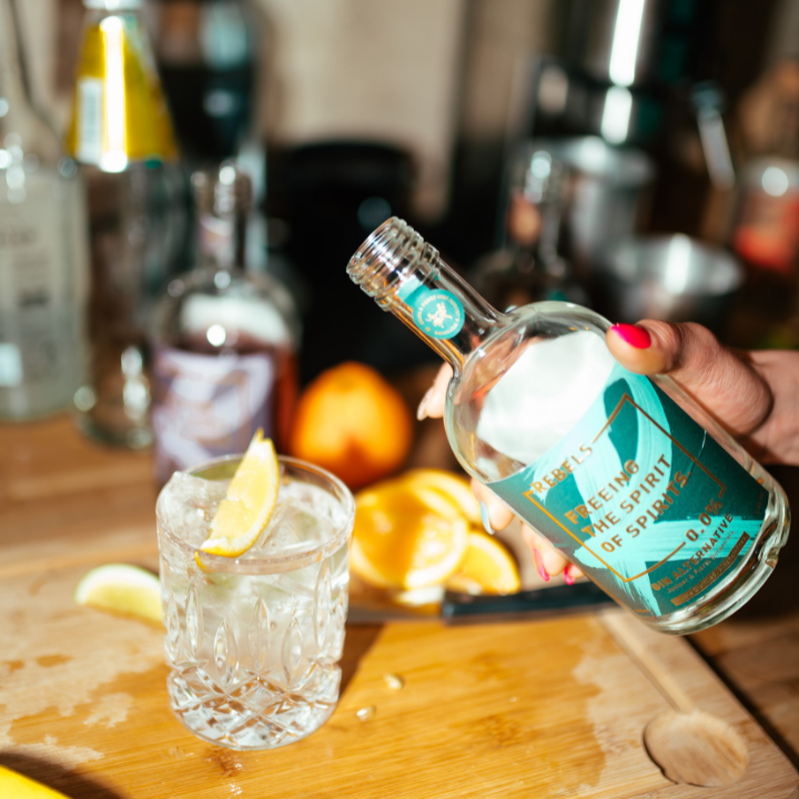 REBELS 0.0% G & T - Ready to Mix Set (alcohol-free)G&T GIN ALTERNATIVE + 2 Tonic (alchol-free)