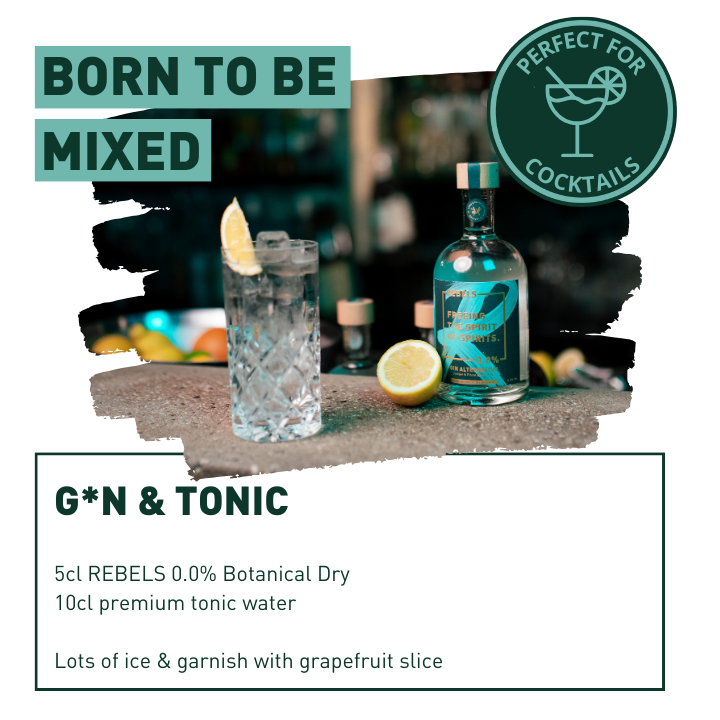 REBELS 0.0% GESCHENKBOX - Gin & Tonic