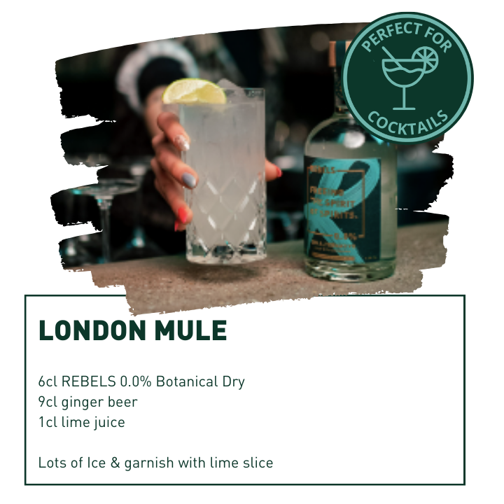 REBELS 0.0% LONDON MULE - Ready to Mix Set (alkoholfrei)