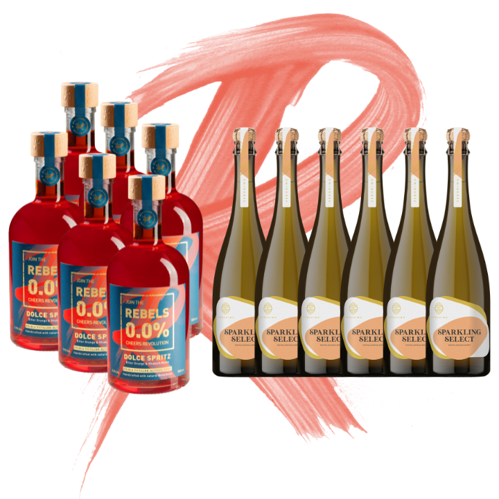 REBELS 0.0% ITALIAN SPRITZ - BIG PARTY BOX (alkoholfrei)