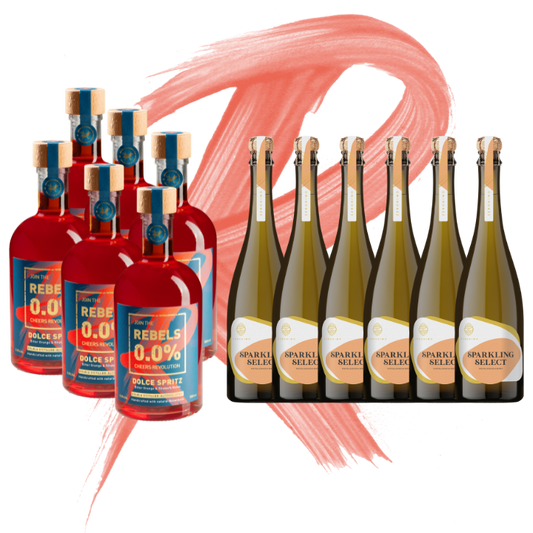 REBELS 0.0% ITALIAN SPRITZ - BIG PARTY BOX (alcohol-free)